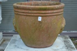 A large terracotta plant pot.