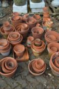 A large quantity of terracotta plant pots.