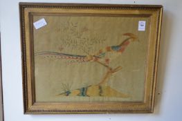 A 19th century silk work picture of an exotic pheasant standing on a branch in a gilt frame.
