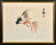 A JAPANESE WATERCOLOUR PAINTING OF FISH, inscribed and with red seal, framed and glazed, 30.5cm x
