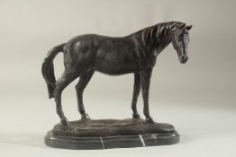 A BRONZE STANDING HORSE. 10ins long, on a marble base.
