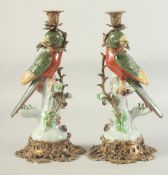 A PAIR OF PORCELAIN RED PARROT CANDLESTICKS with gilt metal mounts. 14ins high.