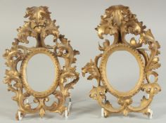 A SMALL PAIR OF ITALIAN CARVED AND GILDED FRAMES. 7.5ins x 4.5ins.