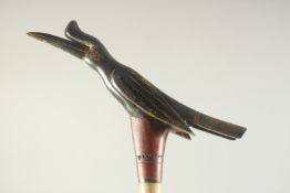 A WOODEN WALKING STICK with carved bird handle. 3ft long.