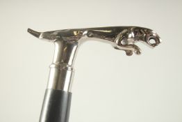 A JAGUAR CHROME CAR MASCOT WALKING STICK.