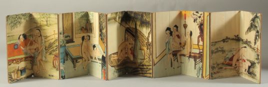 A CHINESE EROTIC BOOK