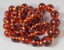 A GOOD GRADUATED AMBER BEAD NECKLACE, 50 beads, 22ins long, 28gms.