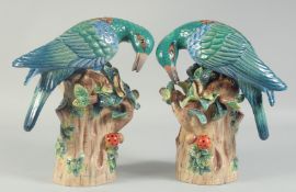 A PAIR OF PORCELAIN BIRD GROUPS on tree stumps, with fruit. 1ft high.
