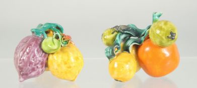 TWO CHINESE KANG HSI PORCELAIN FRUIT GROUPS.