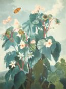 Robert John Thornton (1768-1837), from 'The Temple of Flora', after Reinagle, 'The Oblique-Leaved