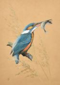 Kenneth J. Wood, 'Kingfisher and Stickleback', watercolour, signed and dated 1986, artists label