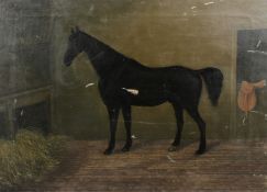 19th Century English School, A black horse in a stable, oil on canvas, 16