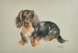Margaret Palmer (b. 1922) British, a collection of five pastel portraits of dogs, four of them