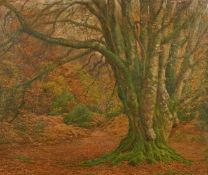 Attributed to Frederick Golden Short (1863-1936), Autumn trees in the New Forest, oil on board, 17.