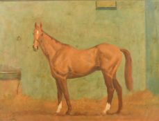 Charles Church (b. 1971) British, A bay horse in a stable, oil on board, signed, 19