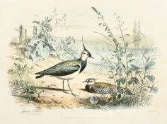 Edouard Travies (19th Century) French, 'Le Venneau', hand-coloured lithograph, 13.75