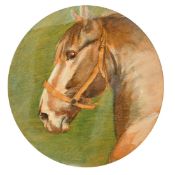 Circle of Mable Hollams, Portrait of a horse's head, oil on panel, oval, 8.25