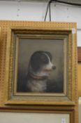 A 19th century English School study of a dog with a mournful expression, oil on canvas in a