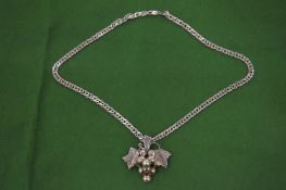 A silver brooch and a necklace.