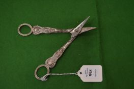 A pair of silver grape scissors.