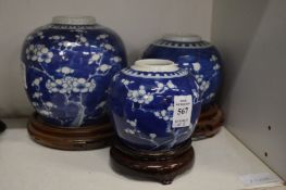 Three Chinese blue and white prunus pattern ginger jars on associated stands.