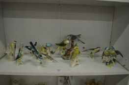 A group of Continental porcelain birds.