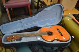 A cased classical guitar.
