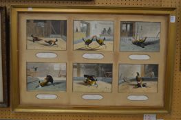 A set of six chromolithographic prints depicting cock fighting scenes, framed as one (lacking