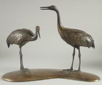 A JAPANESE BRONZE OKIMONO GROUP OF TWO CRANES, mounted to a curving base, 37.5cm long.