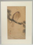 KOSON OHARA (1877-1945): HAWK ON SNOW; an early 20th century original Japanese woodblock print.