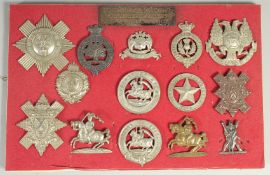 A COLLECTION OF FOURTEEN BLACK WATCH ROYAL HIGHLANDERS, 42ND REG. OF FOOT with silver plaque.