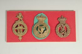 THREE BRONZE BADGES: ROYAL IRISH, EGYPT 18, COUNAUGHT RANGERS, HARP 88.