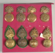 A COLLECTION OF 10 BRONZE IRISH BADGES, ROYAL IRISH FUSILIERS, INNISKILLING.