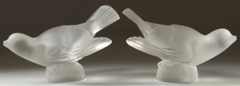 A PAIR OF LALIQUE FROSTED GLASS BIRDS 5ins high. Etched, Lalique, France.