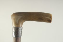 A RHINO HANDLED WOODEN WALKING STICK. 2ft 10 ins long.