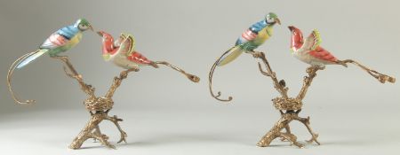 A PAIR OF PORCELAIN AND GILT METAL GROUPS OF TWO BIRDS on branches with birds nests. 9ins high.