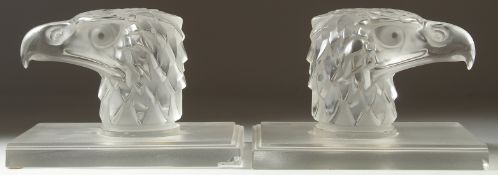 A PAIR OF EAGLE HEAD CAR MASCOTS on plain glass rectangular bases. 4ins high.