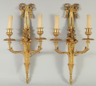 A GOOD PAIR OF LOUIS XVITH DESIGN ORMOLU TWO BRANCH WALL LIGHTS with ribbon motifs. 20ins high.