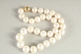 A STRING OF THIRTY LARGE SOUTH SEA PEARLS with gold clasp.