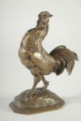 ANTOINE LOUIS BARYE(1796 - 1875) FRENCH. A BRONZE STANDING COCKERAL/ Signed, A. Barye. 9ins high.
