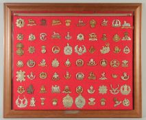 A FRAMED COLLECTION OF 70 BADGES including: ROYAL DUBLIN, CAMERON, THE KINGS LINCOLNSHIRE, NORFOLK -