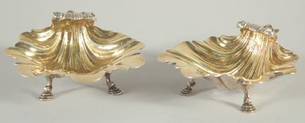 A GOOD PAIR OF VICTORIAN SILVER SHELL SHAPED BUTTER DISHES gilt interiors on three pad feet. 4ins