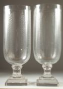 A PAIR OF GLASS STORM LAMPS with leaves on a square base. 15.5ins high.