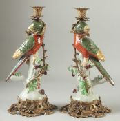 A LARGE PAIR OF PORCELAIN AND GILT METAL GREEN PARAKEET CANDLESTICKS, the bases with fruit 14ins
