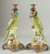 A LARGE PAIR OF PORCELAIN AND GILT METAL YELLOW PARAKEET CANDLESTICKS, the bases with fruit. 14ins