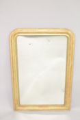 A VICTORIAN GILT FRAMED PIER MIRROR with floral decorated moulded frame. 4ft high x 2ft 9ins wide.