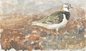 A group of five 20th Century oil and watercolour sketches of birds, one also painted verso, from 10