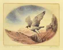 20th Century, a group of six prints relating to birds of prey, each signed and inscribed in