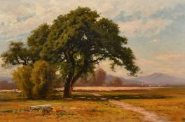 American School, late 19th Century, 'California White Oak, San Ramon Valley, oil on canvas,