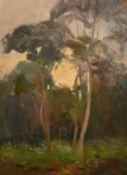 Attributed to John Brown, 20th Century, British, A view of trees, oil on board, 16